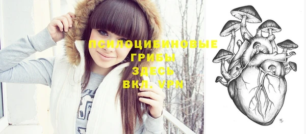 шишки Белоозёрский