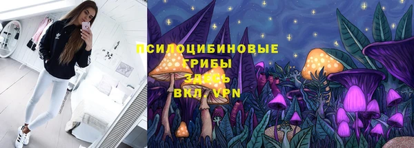 шишки Белоозёрский