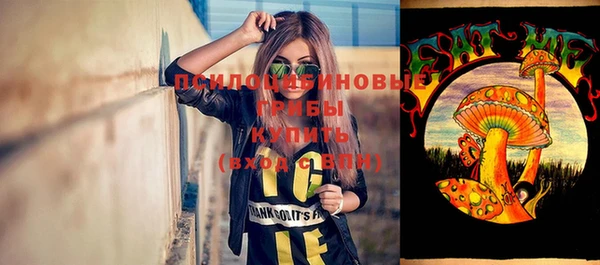 СК Белокуриха