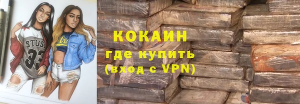 шишки Белоозёрский