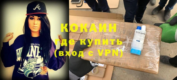 шишки Белоозёрский