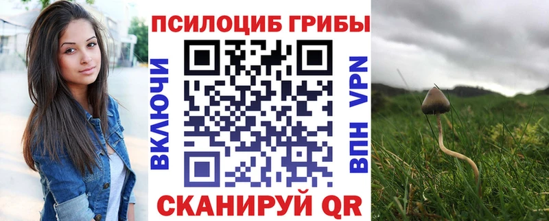 Галлюциногенные грибы прущие грибы  Шадринск 