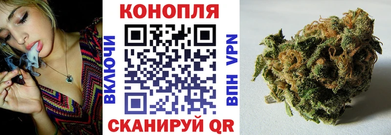 Шишки марихуана THC 21%  даркнет сайт  Шадринск 